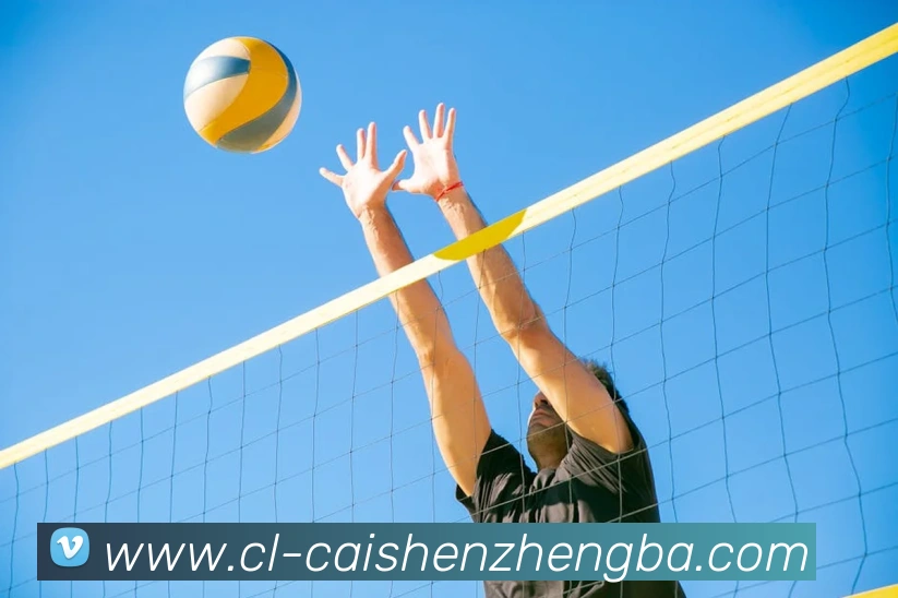 彩神争霸平台生态图